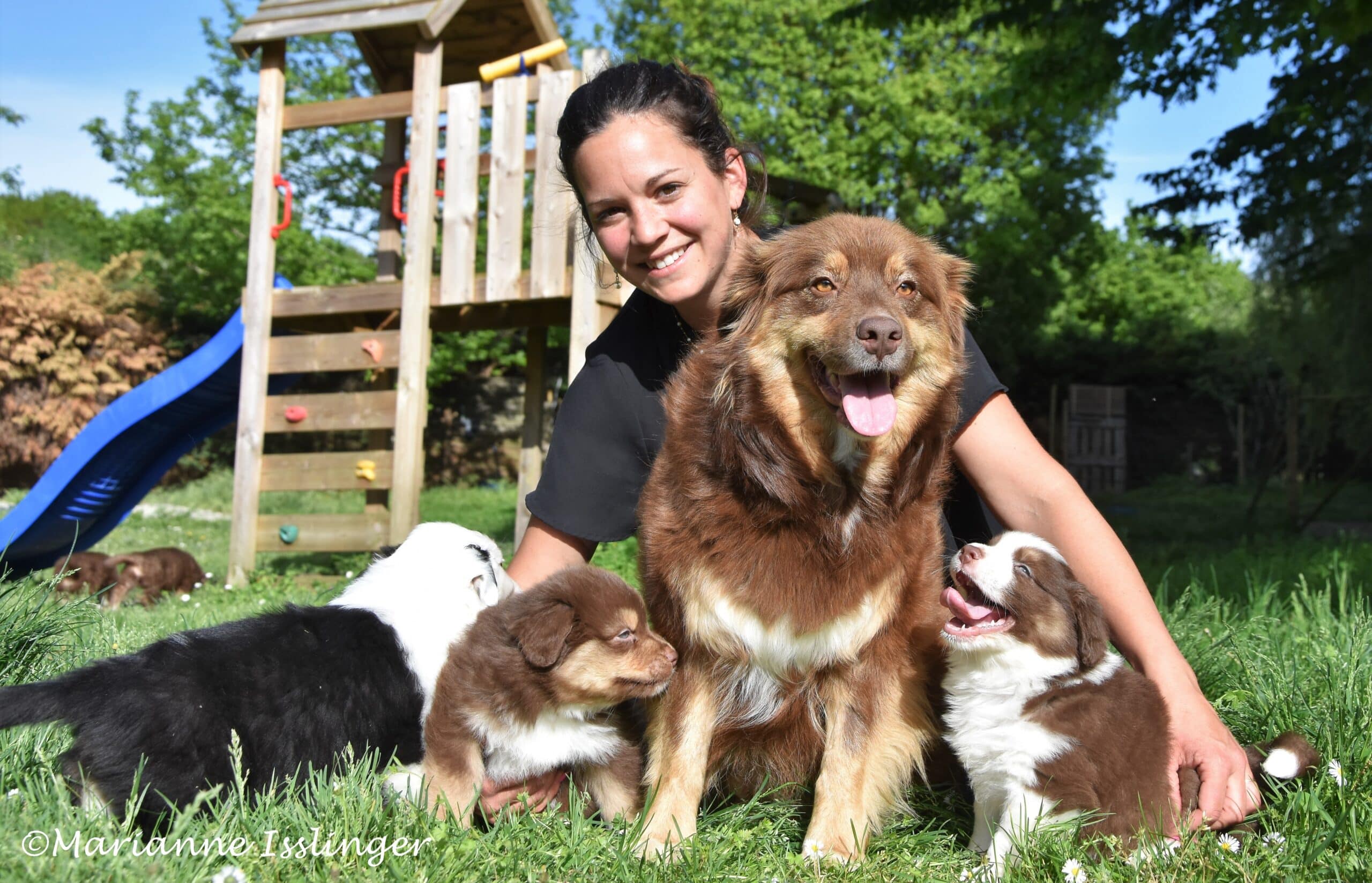 Femme souriante avec un chien berger australien brun et quatre chiots, assis dans l'herbe devant une aire de jeux. Texte : ©Marianne Isslinger