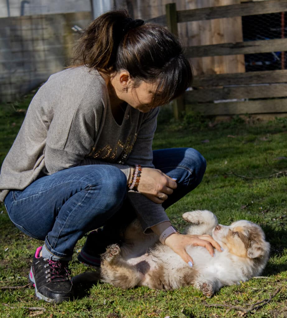 Femme accroupie jouant avec un chiot de berger australien boueux allongé sur l'herbe par une journée ensoleillée.