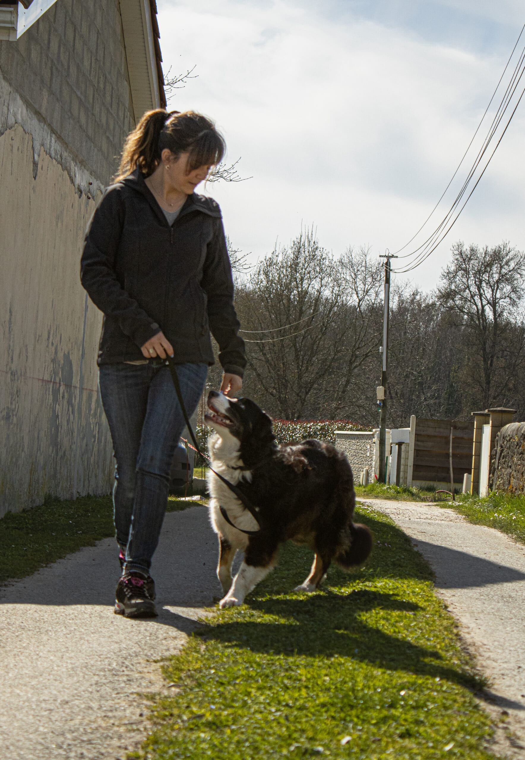 Femme promenant son chien border collie noir et blanc en laisse sur un chemin de campagne ensoleillé avec des arbres dénudés.