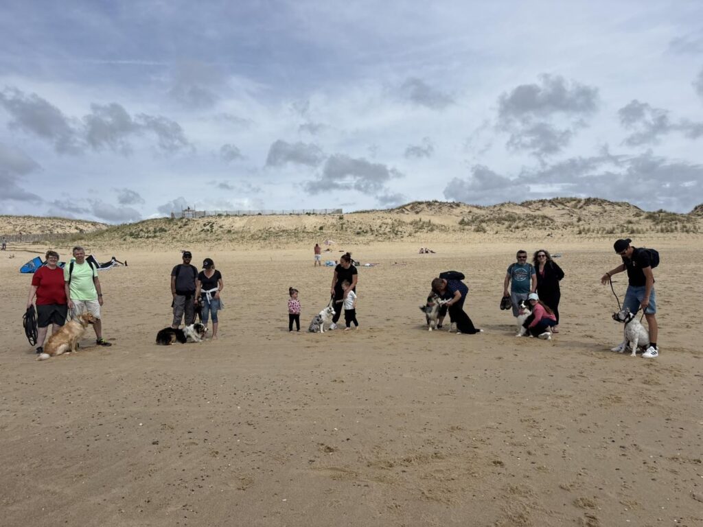 Groupe de personnes et de chiens (Berger Australien ?) posant ensemble sur une plage de sable, avec des dunes en arrière-plan sous un ciel nuageux.